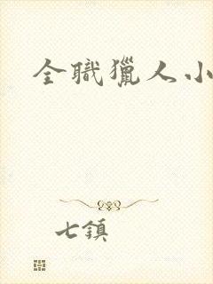 全职猎人小说