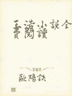 王浩小说全文免费阅读封面