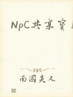 NpC共享宝贝