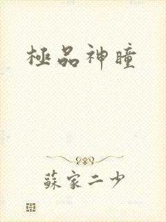 极品神瞳