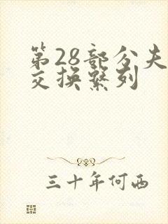 第28部分夫妇交换系列