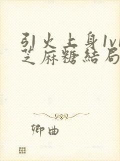 引火上身1v1芝麻糖结局封面