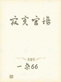 寂寞官场