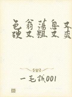 色翁荡息又大又硬又粗又爽