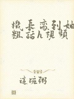 机长脔到她哭h粗话h视频