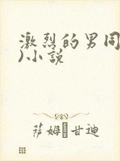激烈的男同(h)小说