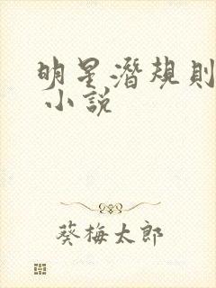 明星潜规则之皇 小说