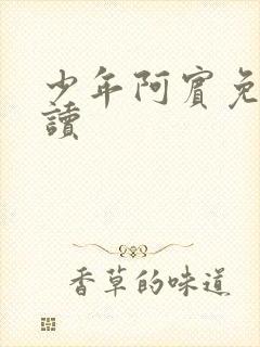 少年阿宾免费阅读