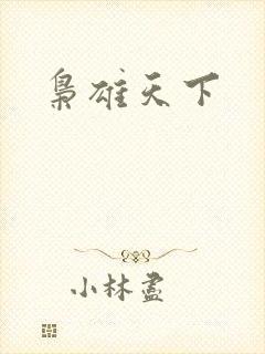 枭雄天下