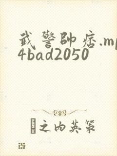 武警帅痞.mp4bad2050