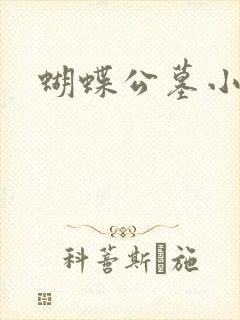 蝴蝶公墓小说