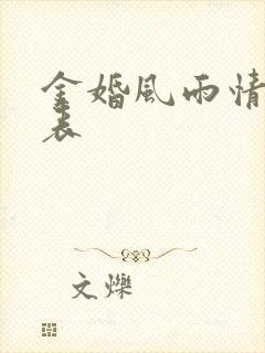 金婚风雨情演员表封面