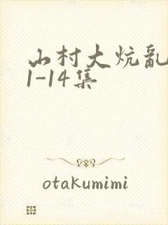 山村大炕乱肉续1-14集封面