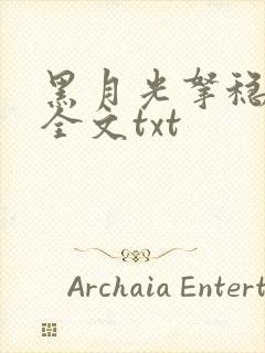 黑月光拿稳小说全文txt