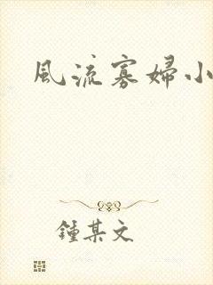 风流寡妇小说