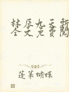 林辰九天斩神诀全文免费阅读笔趣阁封面