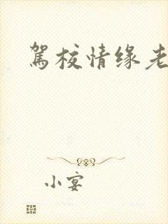 驾校情缘老赵