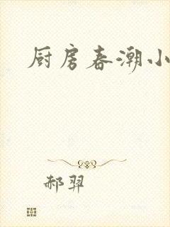 厨房春潮小说