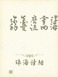 你怎么舍得让我的爱流向海