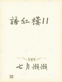 诱红楼11