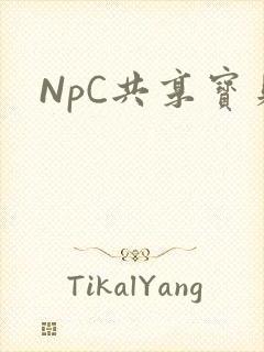 NpC共享宝贝