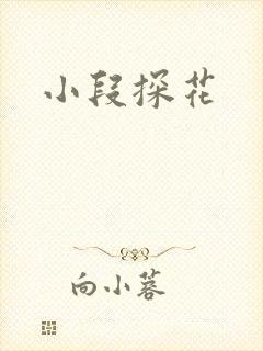 小段探花