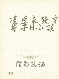 凌虐未发育的小身子H小说