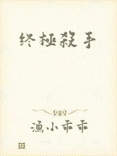 终极杀手