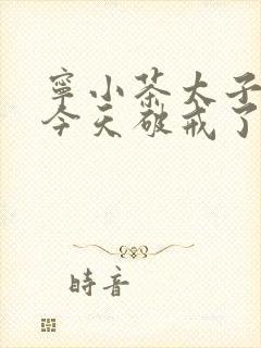 宁小茶太子殿下今天破戒了吗免费阅读封面