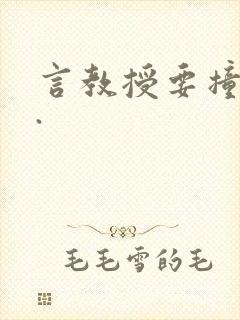 言教授要撞坏了.封面