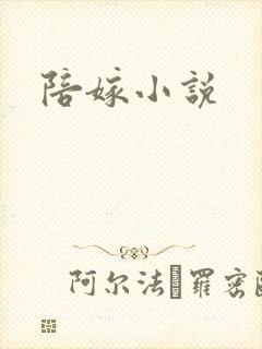 陪嫁小说