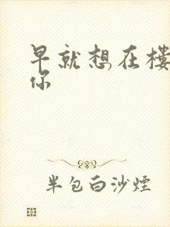 早就想在楼梯要你