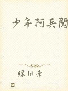 少年阿兵阅读封面