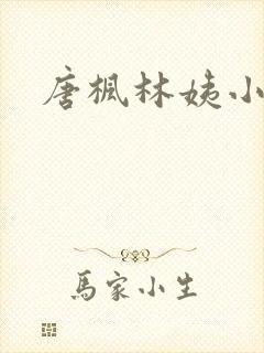 唐枫林姨小说