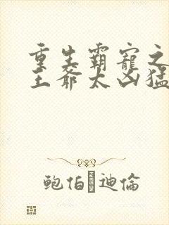 重生霸宠之摄政王爷太凶猛