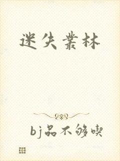 迷失丛林