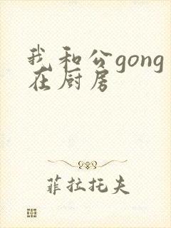 我和公gong在厨房封面