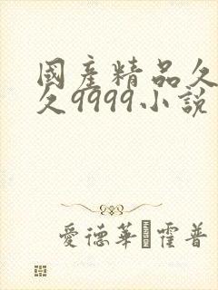 国产精品久久久久9999小说