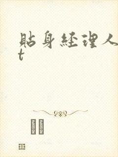 贴身经理人txt