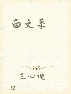 白文采