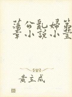 荡公乱妇第51章小说小莹