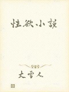 性欲小说封面