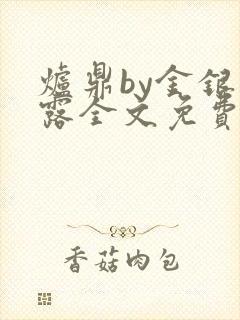 炉鼎by金银花露全文免费阅读笔趣阁