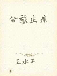 公憩止痒封面