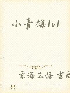 小青梅1v1