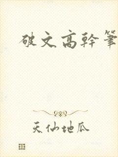 破文高干笔趣阁封面