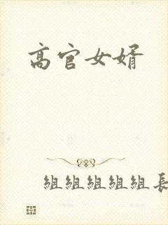 高官女婿