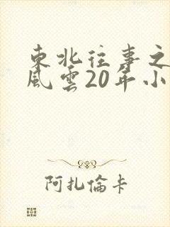 东北往事之黑道风云20年小说