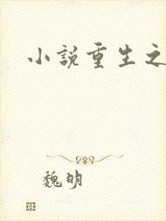 小说重生之官道