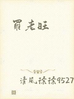 罗老旺封面